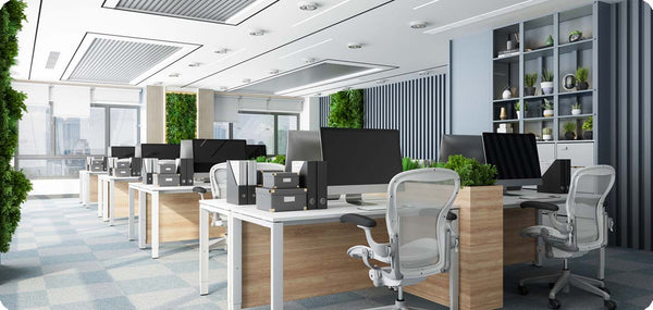 An office garden for more productivity in the workplace 