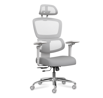 DESKSPACE Move Pro ergonomischer Bürostuhl mit intelligenter Lordosenstütze und atmungsaktivem Netzgewebe