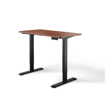 Moderner ergonomischer Stehpult von DESKSPACE Pro Model– elektrisch verstellbar mit smarter Bedienung