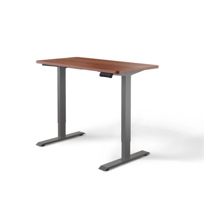 Moderner ergonomischer Stehpult von DESKSPACE Pro Model– elektrisch verstellbar mit smarter Bedienung