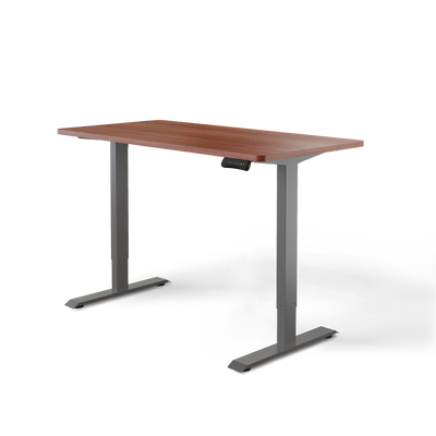Moderner ergonomischer Stehpult von DESKSPACE Pro Model– elektrisch verstellbar mit smarter Bedienung