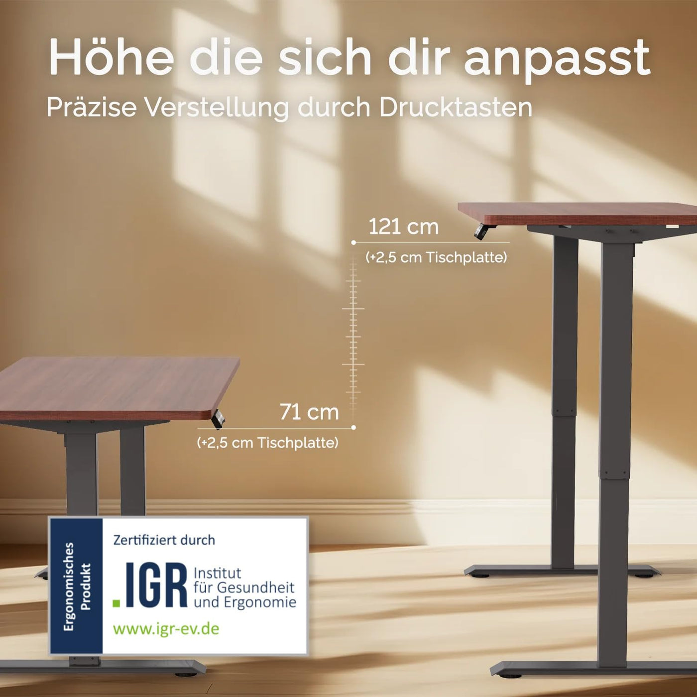 Moderner ergonomischer Stehpult von DESKSPACE Pro Model– elektrisch verstellbar mit smarter Bedienung