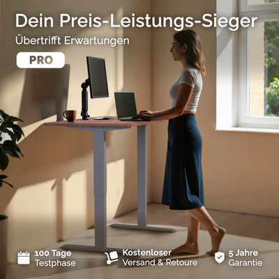 Moderner ergonomischer Stehpult von DESKSPACE Pro Model– elektrisch verstellbar mit smarter Bedienung