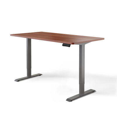 Moderner ergonomischer Stehpult von DESKSPACE Pro Model– elektrisch verstellbar mit smarter Bedienung
