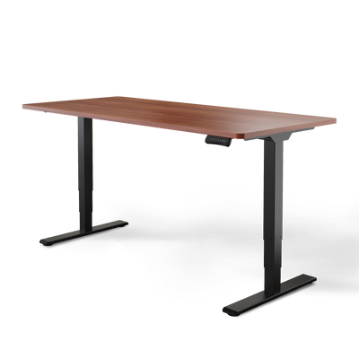 Elektrisch höhenverstellbarer DESKSPACE Pro Plus ergonomischer Stehschreibtisch