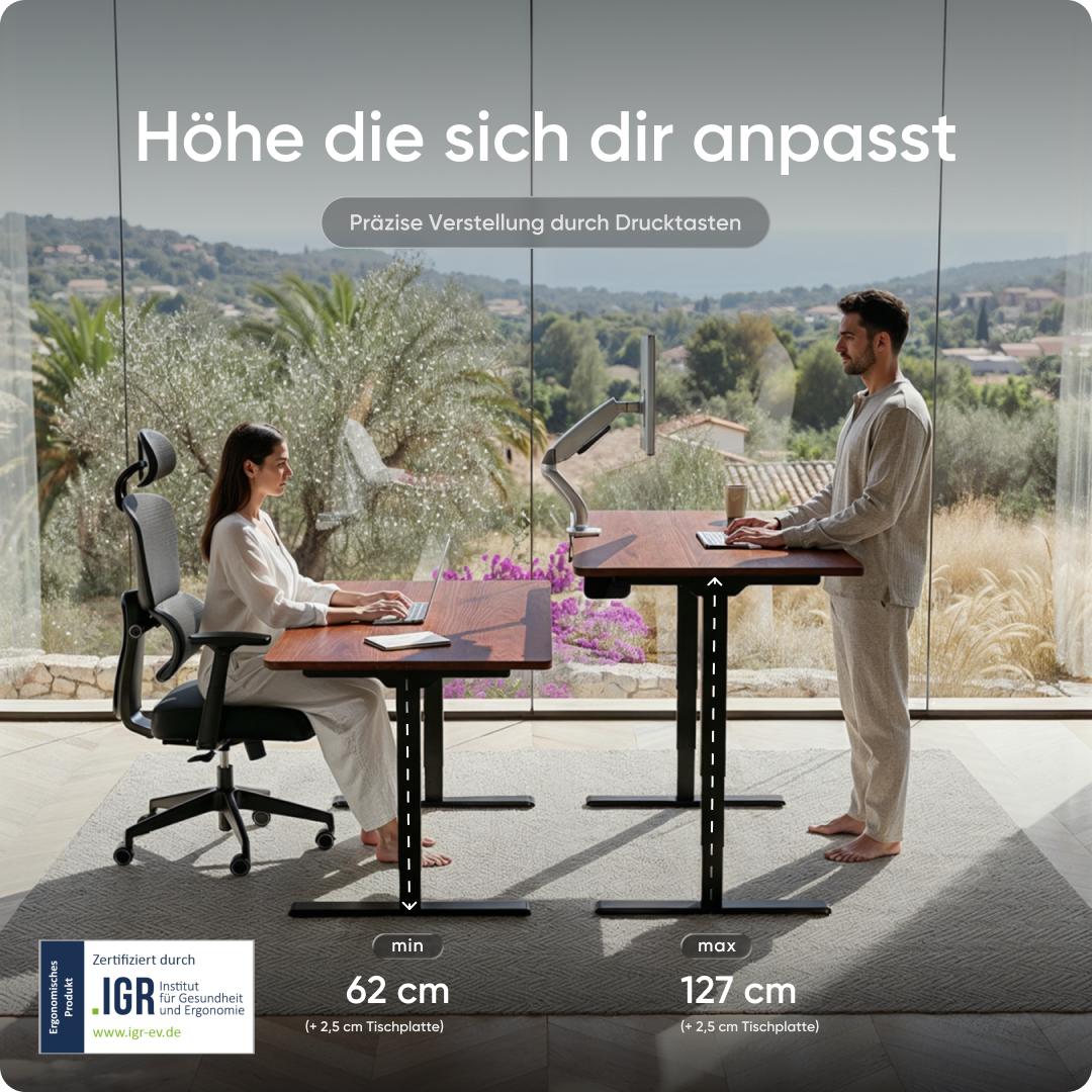 Elektrisch höhenverstellbarer DESKSPACE Pro Plus ergonomischer Stehschreibtisch