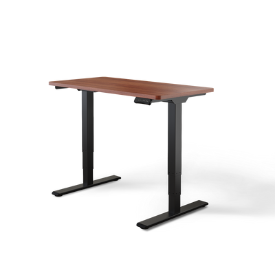 Elektrisch höhenverstellbarer DESKSPACE Pro Plus ergonomischer Stehschreibtisch