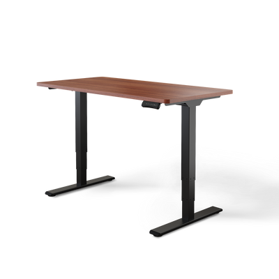 Elektrisch höhenverstellbarer DESKSPACE Pro Plus ergonomischer Stehschreibtisch