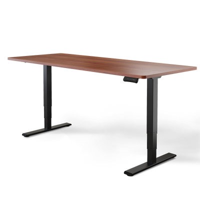 Elektrisch höhenverstellbarer DESKSPACE Pro Plus ergonomischer Stehschreibtisch