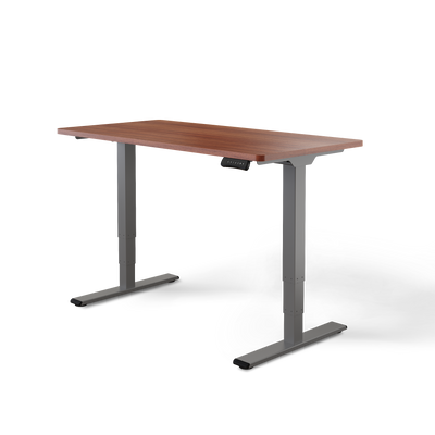 Elektrisch höhenverstellbarer DESKSPACE Pro Plus ergonomischer Stehschreibtisch