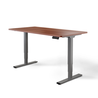 Elektrisch höhenverstellbarer DESKSPACE Pro Plus ergonomischer Stehschreibtisch