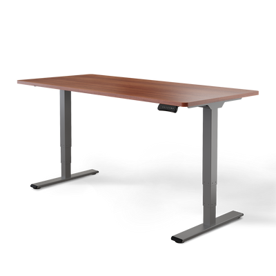 Elektrisch höhenverstellbarer DESKSPACE Pro Plus ergonomischer Stehschreibtisch