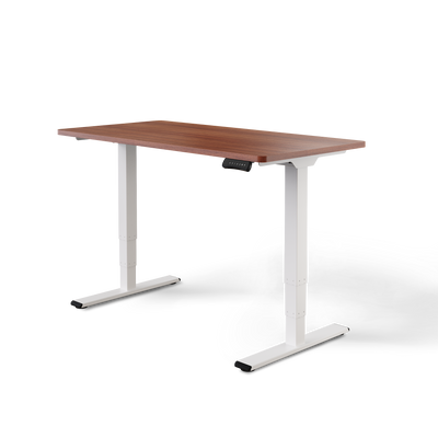 Elektrisch höhenverstellbarer DESKSPACE Pro Plus ergonomischer Stehschreibtisch