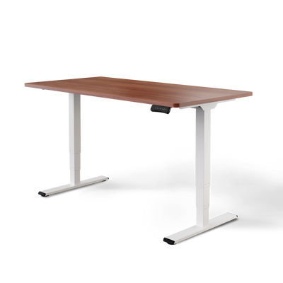 Elektrisch höhenverstellbarer DESKSPACE Pro Plus ergonomischer Stehschreibtisch
