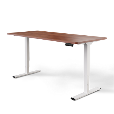 Elektrisch höhenverstellbarer DESKSPACE Pro Plus ergonomischer Stehschreibtisch