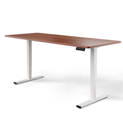 Elektrisch höhenverstellbarer DESKSPACE Pro Plus ergonomischer Stehschreibtisch