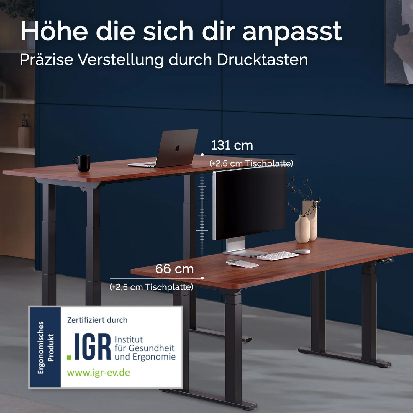 DESKSPACE Titan elektrisch höhenverstellbarer Schreibtisch mit 4 stabilen Beinen, Dual-Motor-Antrieb, 200 kg Tragkraft, Memory-Steuerung und modernem Design