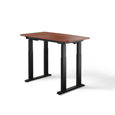 DESKSPACE Titan elektrisch höhenverstellbarer Schreibtisch mit 4 stabilen Beinen, Dual-Motor-Antrieb, 200 kg Tragkraft, Memory-Steuerung und modernem Design
