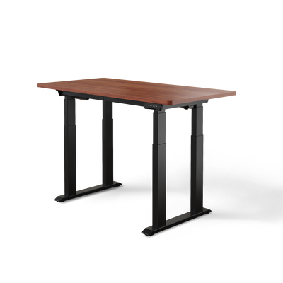 DESKSPACE Titan elektrisch höhenverstellbarer Schreibtisch mit 4 stabilen Beinen, Dual-Motor-Antrieb, 200 kg Tragkraft, Memory-Steuerung und modernem Design