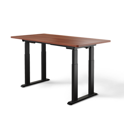 DESKSPACE Titan elektrisch höhenverstellbarer Schreibtisch mit 4 stabilen Beinen, Dual-Motor-Antrieb, 200 kg Tragkraft, Memory-Steuerung und modernem Design