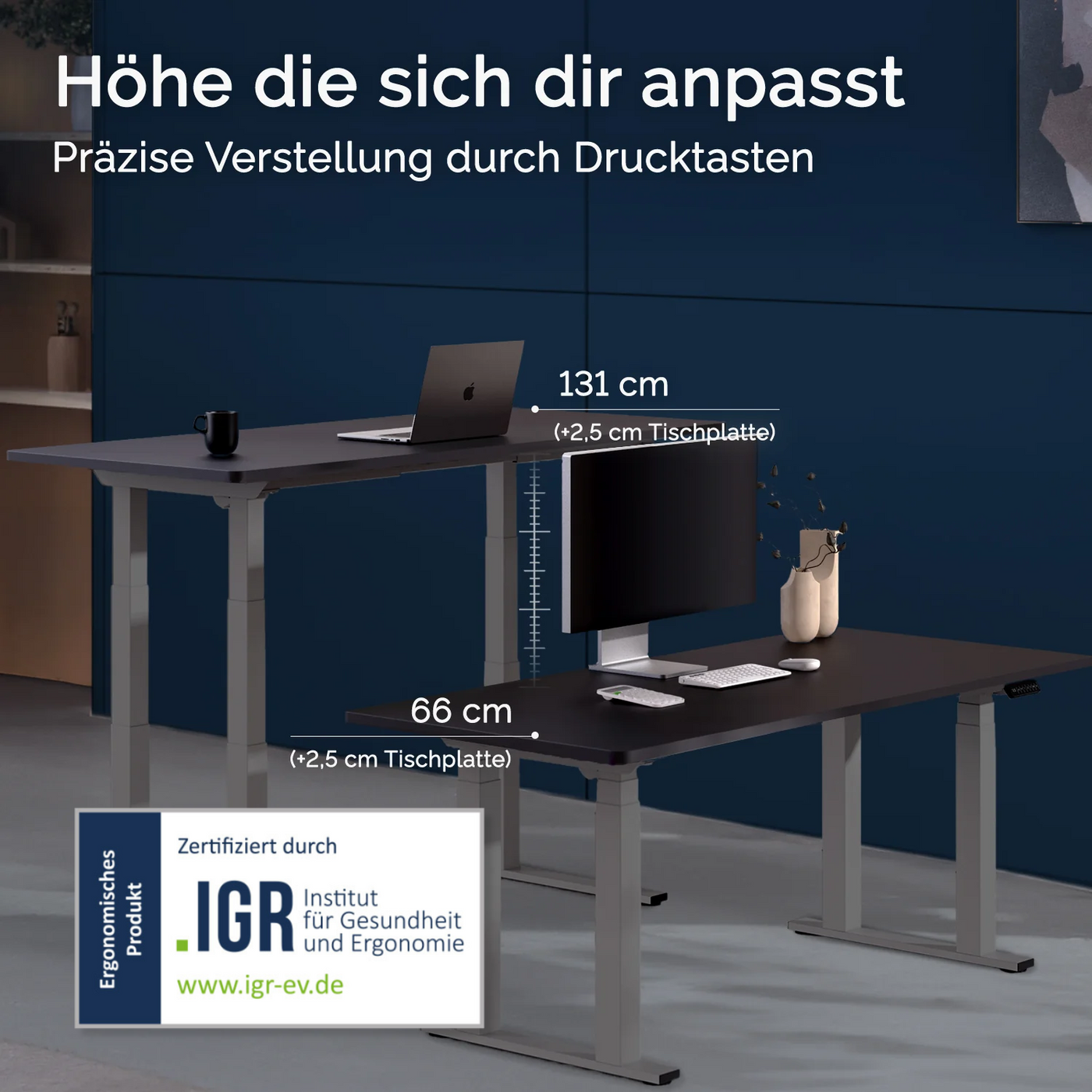 DESKSPACE Titan elektrisch höhenverstellbarer Schreibtisch mit 4 stabilen Beinen, Dual-Motor-Antrieb, 200 kg Tragkraft, Memory-Steuerung und modernem Design