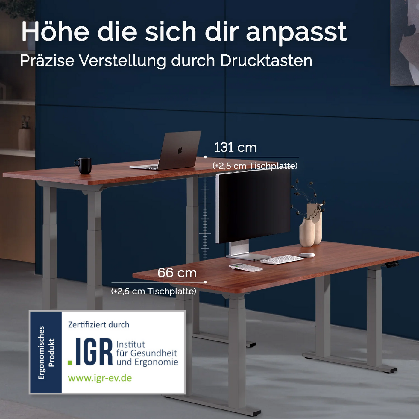 DESKSPACE Titan elektrisch höhenverstellbarer Schreibtisch mit 4 stabilen Beinen, Dual-Motor-Antrieb, 200 kg Tragkraft, Memory-Steuerung und modernem Design
