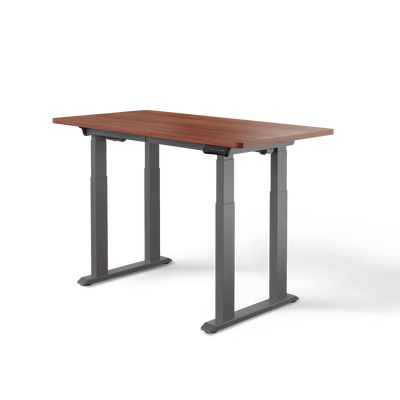 DESKSPACE Titan elektrisch höhenverstellbarer Schreibtisch mit 4 stabilen Beinen, Dual-Motor-Antrieb, 200 kg Tragkraft, Memory-Steuerung und modernem Design