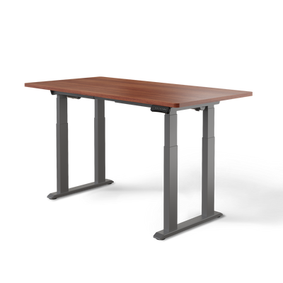 DESKSPACE Titan elektrisch höhenverstellbarer Schreibtisch mit 4 stabilen Beinen, Dual-Motor-Antrieb, 200 kg Tragkraft, Memory-Steuerung und modernem Design