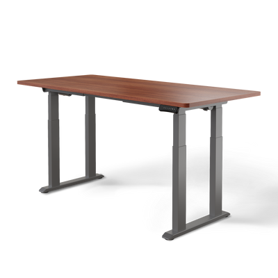 DESKSPACE Titan elektrisch höhenverstellbarer Schreibtisch mit 4 stabilen Beinen, Dual-Motor-Antrieb, 200 kg Tragkraft, Memory-Steuerung und modernem Design