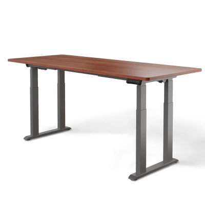 DESKSPACE Titan elektrisch höhenverstellbarer Schreibtisch mit 4 stabilen Beinen, Dual-Motor-Antrieb, 200 kg Tragkraft, Memory-Steuerung und modernem Design