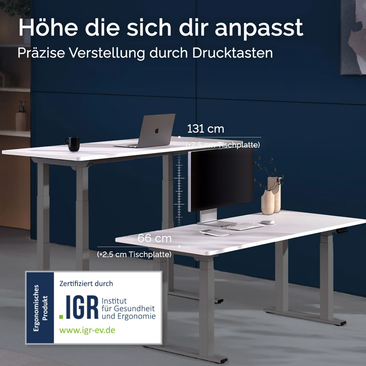DESKSPACE Titan elektrisch höhenverstellbarer Schreibtisch mit 4 stabilen Beinen, Dual-Motor-Antrieb, 200 kg Tragkraft, Memory-Steuerung und modernem Design