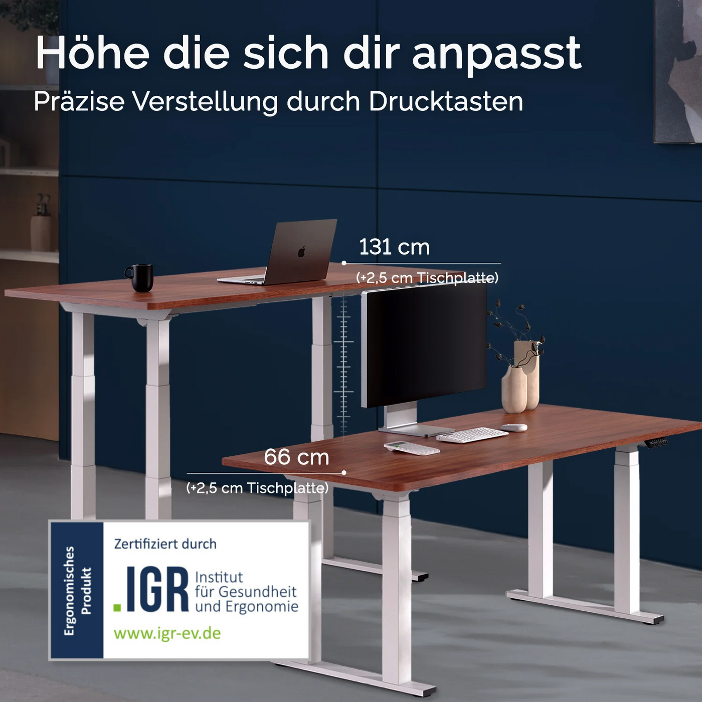 DESKSPACE Titan elektrisch höhenverstellbarer Schreibtisch mit 4 stabilen Beinen, Dual-Motor-Antrieb, 200 kg Tragkraft, Memory-Steuerung und modernem Design