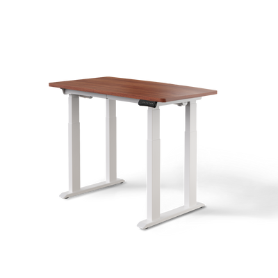 DESKSPACE Titan elektrisch höhenverstellbarer Schreibtisch mit 4 stabilen Beinen, Dual-Motor-Antrieb, 200 kg Tragkraft, Memory-Steuerung und modernem Design