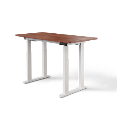 DESKSPACE Titan elektrisch höhenverstellbarer Schreibtisch mit 4 stabilen Beinen, Dual-Motor-Antrieb, 200 kg Tragkraft, Memory-Steuerung und modernem Design