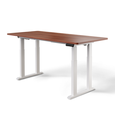 DESKSPACE Titan elektrisch höhenverstellbarer Schreibtisch mit 4 stabilen Beinen, Dual-Motor-Antrieb, 200 kg Tragkraft, Memory-Steuerung und modernem Design