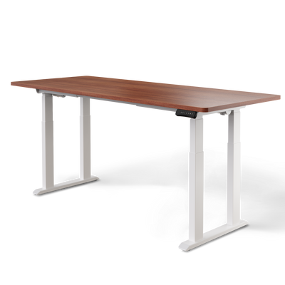 DESKSPACE Titan elektrisch höhenverstellbarer Schreibtisch mit 4 stabilen Beinen, Dual-Motor-Antrieb, 200 kg Tragkraft, Memory-Steuerung und modernem Design