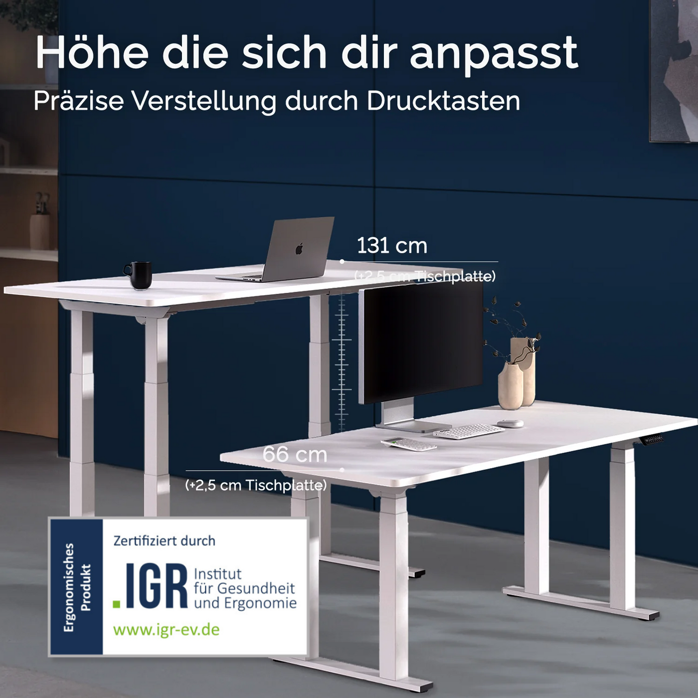 DESKSPACE Titan elektrisch höhenverstellbarer Schreibtisch mit 4 stabilen Beinen, Dual-Motor-Antrieb, 200 kg Tragkraft, Memory-Steuerung und modernem Design
