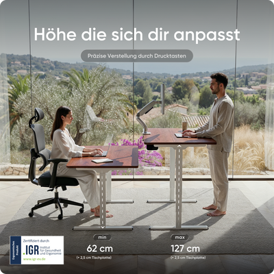 Elektrisch höhenverstellbarer DESKSPACE Pro Plus ergonomischer Stehschreibtisch