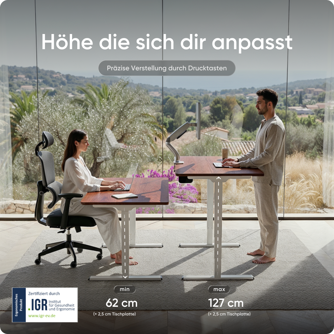 Elektrisch höhenverstellbarer DESKSPACE Pro Plus ergonomischer Stehschreibtisch