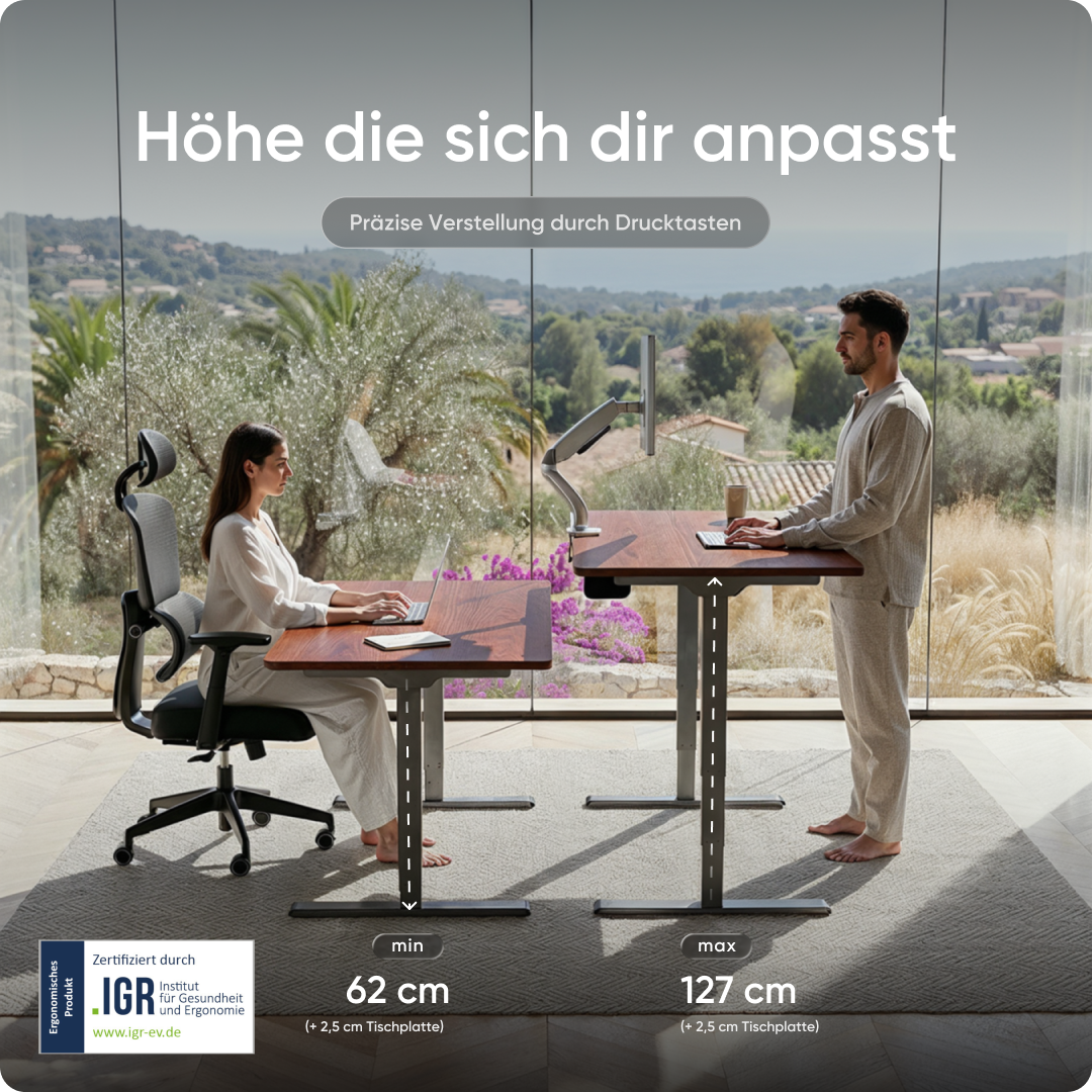 Elektrisch höhenverstellbarer DESKSPACE Pro Plus ergonomischer Stehschreibtisch