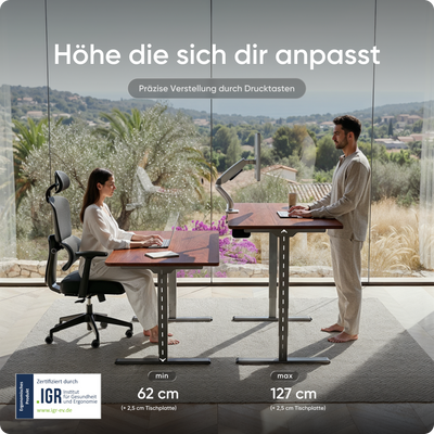 Elektrisch höhenverstellbarer DESKSPACE Pro Plus ergonomischer Stehschreibtisch