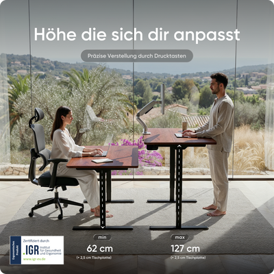 Elektrisch höhenverstellbarer DESKSPACE Pro Plus ergonomischer Stehschreibtisch