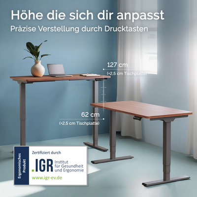 DESQUP PRO PLUS | Electrically height-adjustable desk 