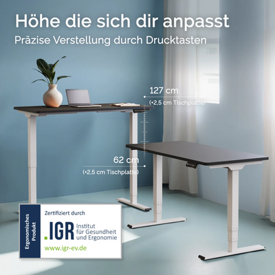 DESQUP PRO PLUS | Electrically height-adjustable desk 