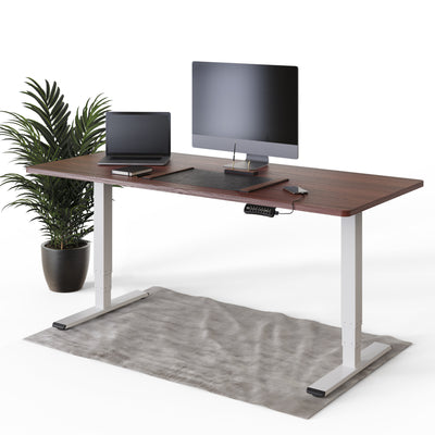 DESQUP PRO PLUS | Electrically height-adjustable desk 