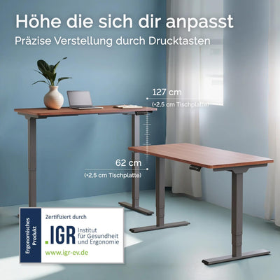 DESQUP PRO PLUS | Electrically height-adjustable desk 