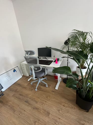 Lucas P.